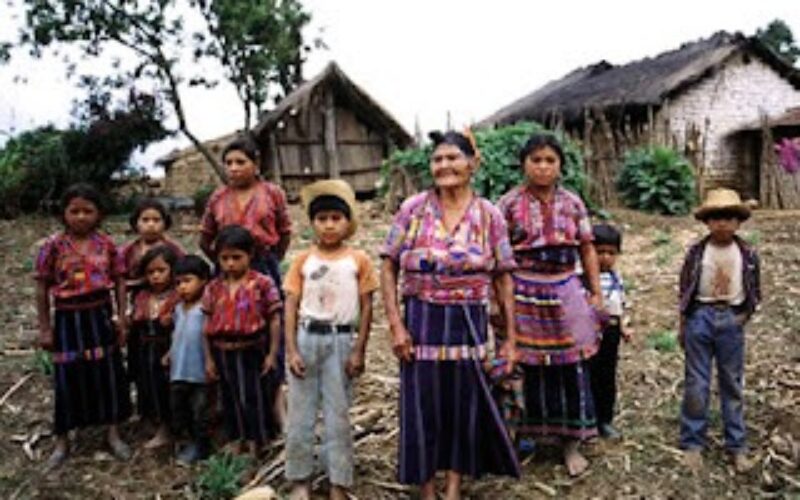 Raices vivas. Arrancaron nuestro frutos cortaron nuestras ramas quemaron nuestro tronco pero no pudieron matar nuestras raíces.