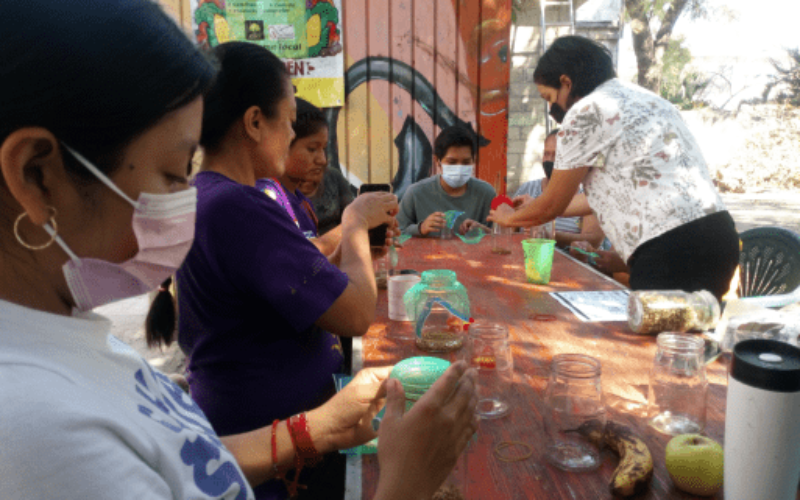 Taller de Germinados