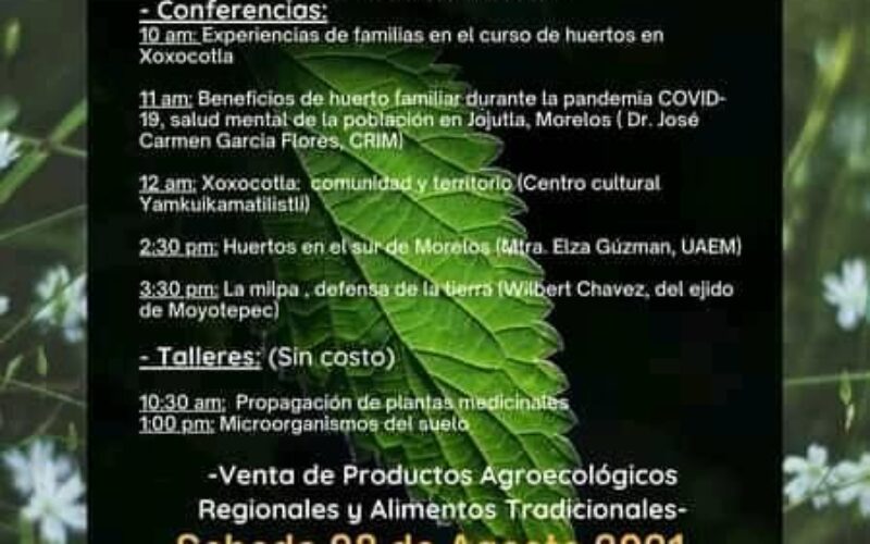 Tianguis Agroecológico. Un Espacios de Resiliencia y Autonomía.