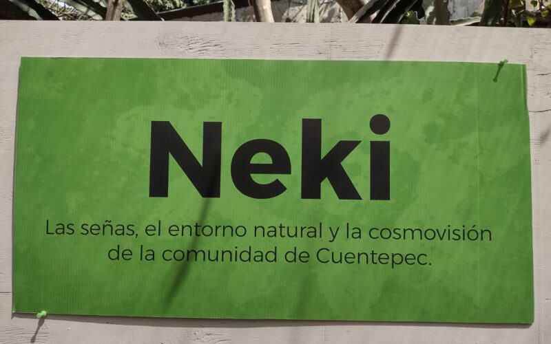 «Exposición fotográfica NEKI»