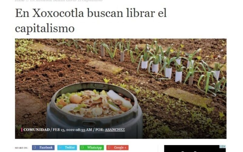 ¡Nos publicaron en el Diario de Morelos!